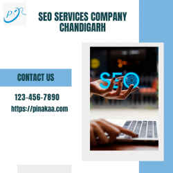 SEO Services Company in Chandigarh