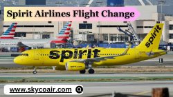 What Does It Cost To Alter A Spirit Airlines Flight?