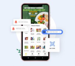 Start Online Grocery Store