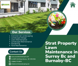 Strat Property Lawn Maintenance in Surrey Bc and Burnaby-BC – Evershine Landscaping