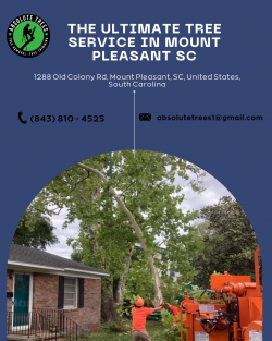 Absolute Trees: The Ultimate Tree Service in Mount Pleasant SC