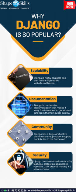 Why is Django Training so Popular? | ShapeMySkills