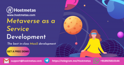 Metaverse Development Company