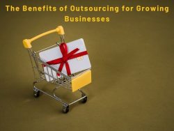 The Benefits of Outsourcing for Growing Businesses