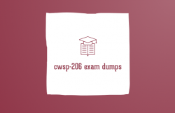 CWSP-206 Flashcards: The Perfect Learning Tool for Passing the Certification Test