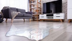 Get Complete Water Damage Repair in Santa Clara