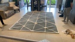 Haldon Chrome Rug