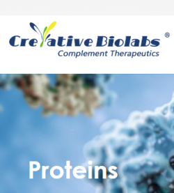 Complement proteins