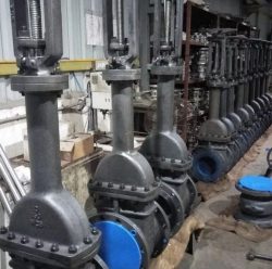 Rising Stem Gate Valve Manufacturer in USA