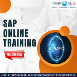 Best Career Growth | SAP Training in Noida | ShapeMySkills