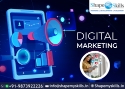 Best Career in Digital Marketing at ShapeMySkills