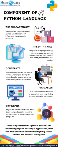 Best Components of Python Programming | ShapeMySkills