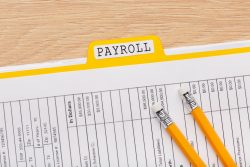 Top Payroll Software Solutions for Businesses in India