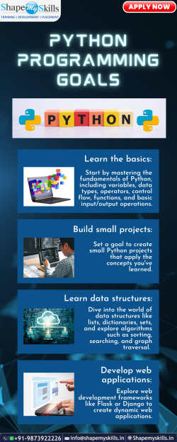 Best Python Programming Goals | ShapeMySkills