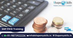 Awaken Your Hidden Potential | Sap Fico Training In Noida | ShapeMySkills