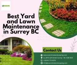 Best Yard and Lawn Maintenance in Surrey BC – Evershine Landscaping