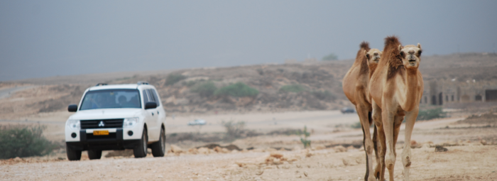 Car rental in Salalah