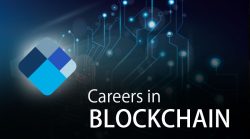 Highest Paying Blockchain Jobs