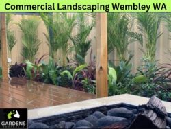 Transform Your Commercial Space With Professional Landscaping Services