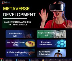 Metaverse Development Company