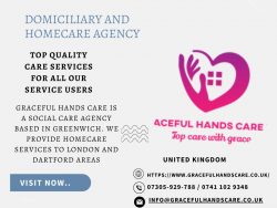 Domiciliary and Homecare Agency