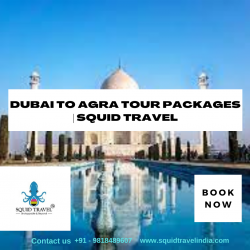 Dubai To Agra Tour Packages | Squid Travel