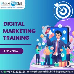 Enhance Your Skills | Digital Marketing Online Training | ShapeMySkills