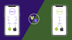 Enterprise App Development: Native vs Hybrid – A Comprehensive Comparison