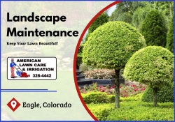 Environmental-Friendly Gardening Service