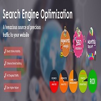 top SEO Company in Gurgaon