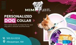 Get An Innovative Pet Collar