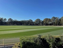 Grand Slam GLD at a council ground in Sydney