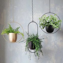 Flash Deals – Metal Plant Hanging Stand – Circular