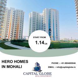 Hero Homes in Mohali