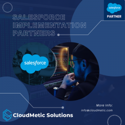 Salesforce implementation partners