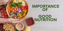 Unlocking the Power of Nutrition: Enhancing Health with Nutrient Supplements