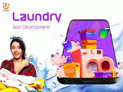 Laundry App Development