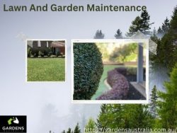 Professional Lawn And Garden Maintenance Services For A Beautiful Outdoor Space