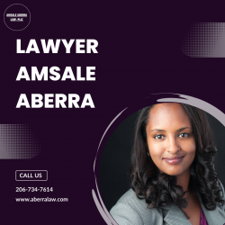 Lawyer Amsale Aberra