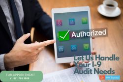 Let Us Handle Your I-9 Audit Needs