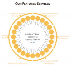 Liposome Development Service