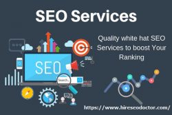 local seo service in Tampa, Florida