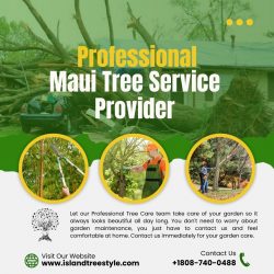 Emergency Maui Tree Service Provider In Hawaii- Island Tree Style