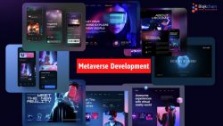 Metaverse Development Company