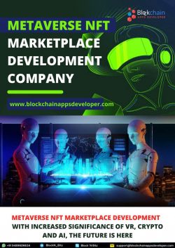 Metaverse NFT Marketplace Development Company