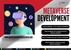 Metaverse Development Company