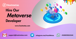 Metaverse Developer