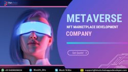 Metaverse NFT Marketplace Development Company