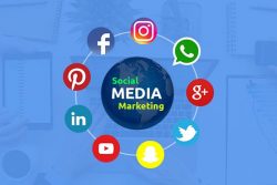 Get Social Media Marketing Services From WorkerMan