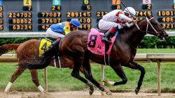 Win More Races with Charting Horse Value’s Race Software